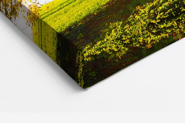 Stampa su Tela Sentiero nella Foresta d'Autunno - alla parete in un interno