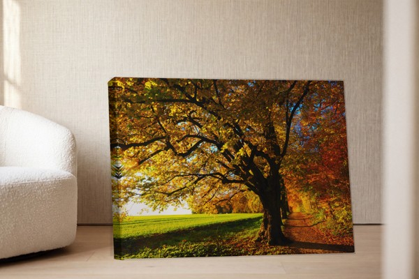 Stampa su Tela Sentiero nella Foresta d'Autunno - alla parete in un interno