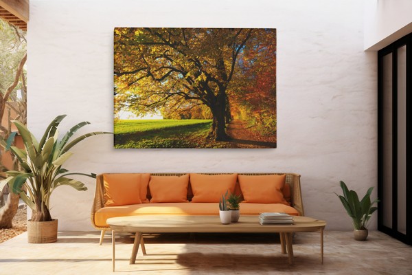 Stampa su Tela Sentiero nella Foresta d'Autunno - alla parete in un interno