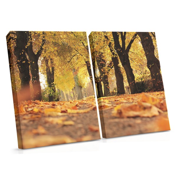 Impression sur Toile Sentier du Parc Automnal
