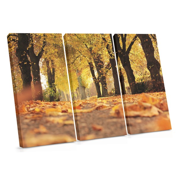 Autumn Park Path Canvas Print