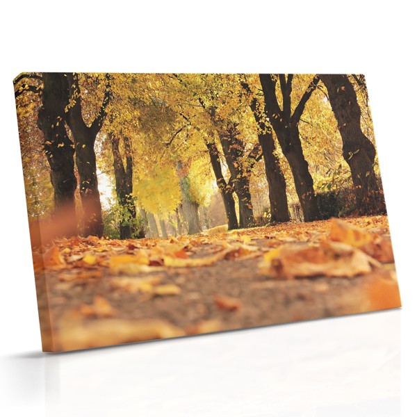 Jesenná Park Cesta Canvas Print