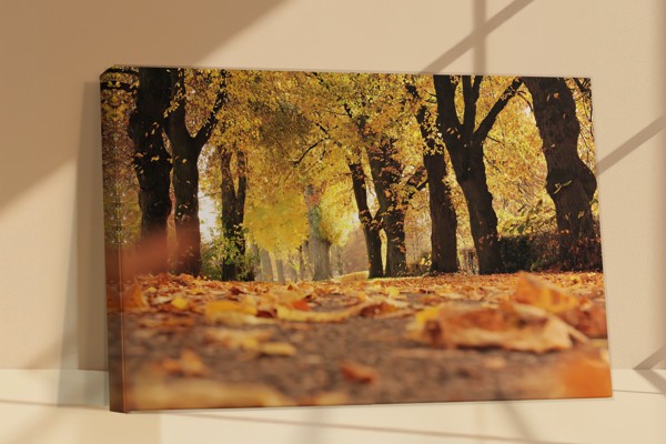 Impression sur Toile Sentier du Parc Automnal - au mur dans un intérieur