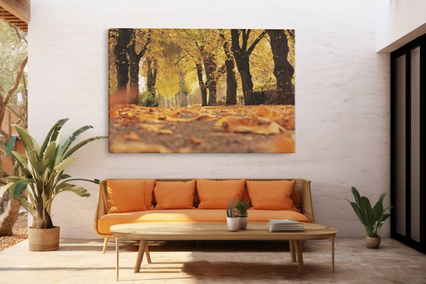 Impression sur Toile Sentier du Parc Automnal - au mur dans un intérieur