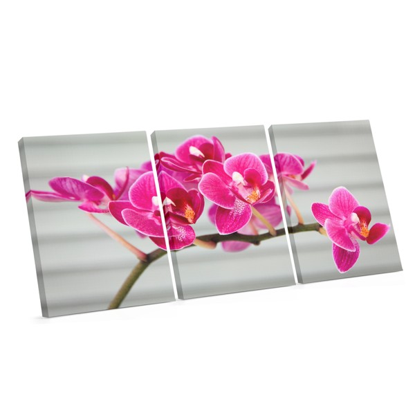 Impressão em Tela Buquê de Orquídeas Rosa