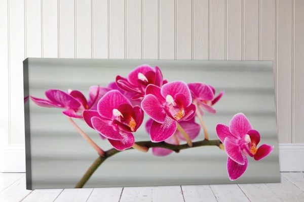 Lienzo Ramo de Orquídeas Rosas - en la pared de un interior