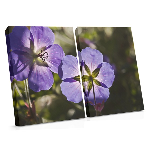 Stampa su Tela Violette in Fiore