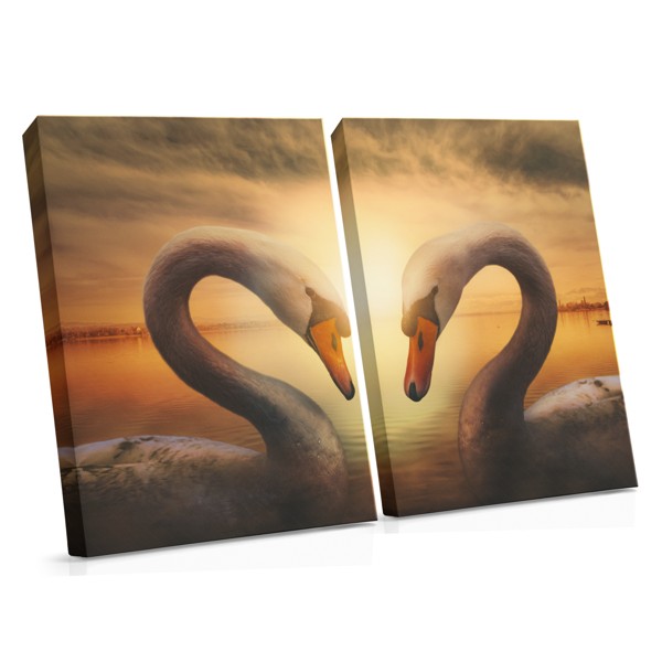 Kaksi joutsenta auringonlaskussa Canvas-tulostus
