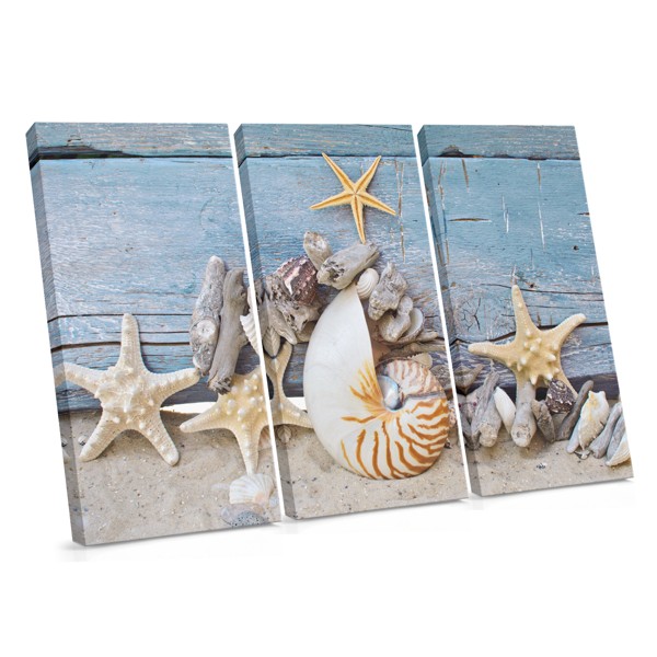 Ocean Life Forms Leinwanddruck - Meeresbiologie Kunst