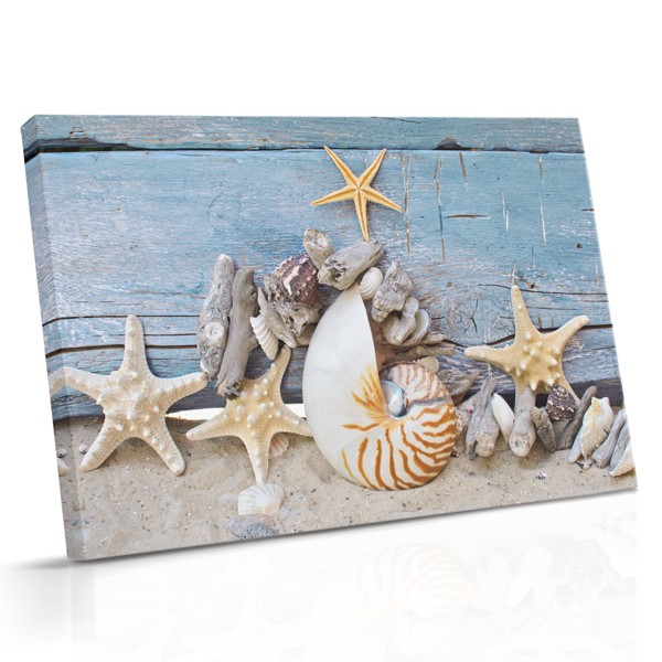 Ocean Life Forms Canvas Print - Morska Biologija