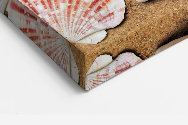 Sand och Snäckskal Strands Canvas Print - på väggen i ett rum