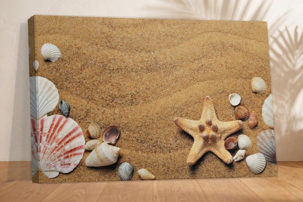 Sand och Snäckskal Strands Canvas Print - på väggen i ett rum
