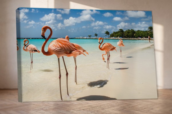 Flamant Rose dans l'Eau Calme - Toile Imprimée - au mur dans un intérieur