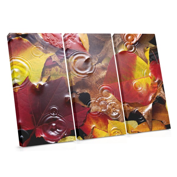 Autumn Forest Leaf Canvas Print