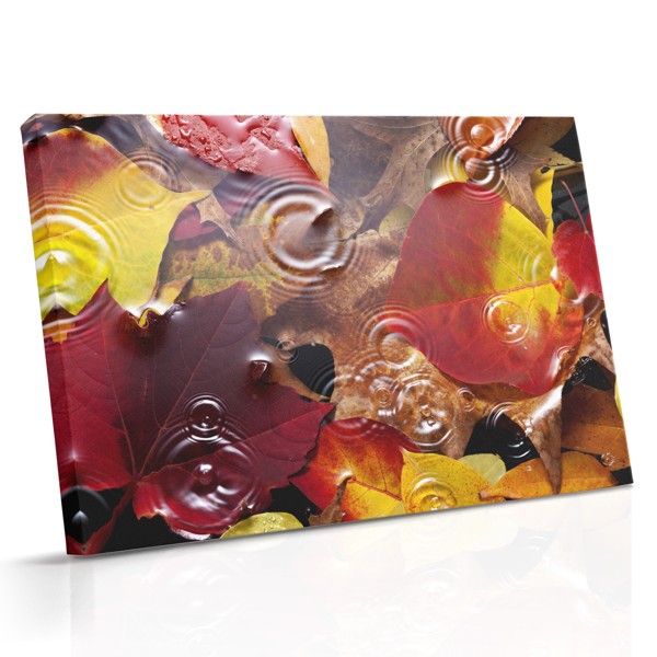 Herfstblad Boslandschap Canvas Print
