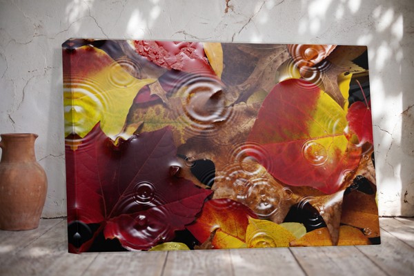 Lienzo Hoja de Otoño en Bosque - en la pared de un interior