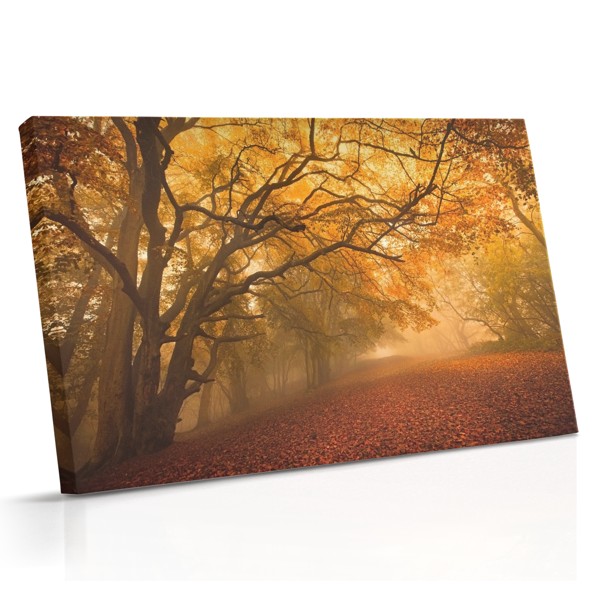 Rudens koks zeltainā pļavā - audekla prints