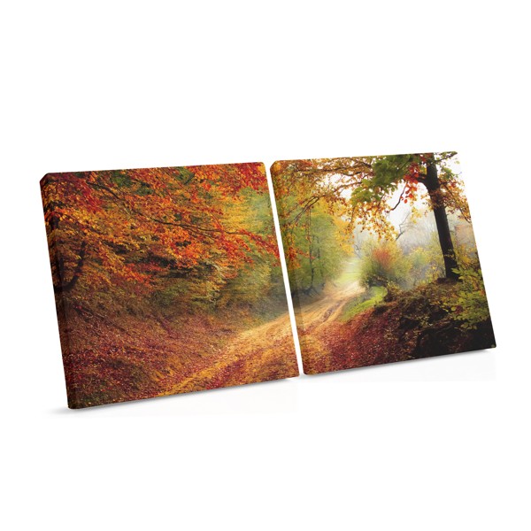 Toile Imprimée Sentier Forêt d'Automne