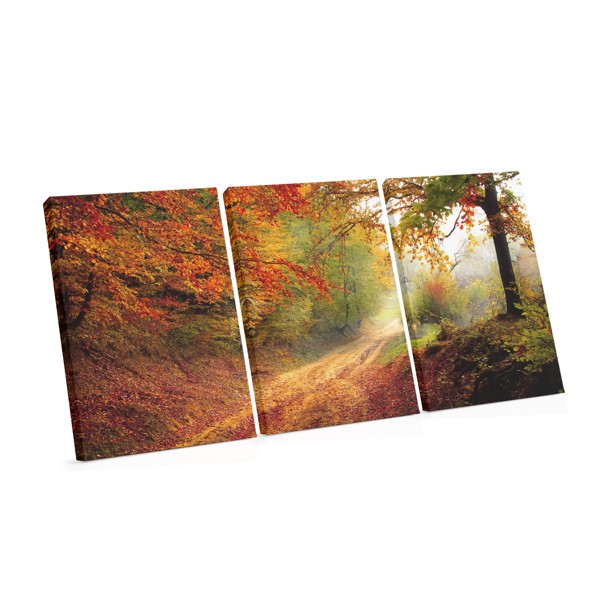 Autumn Forest Path Canvas Print