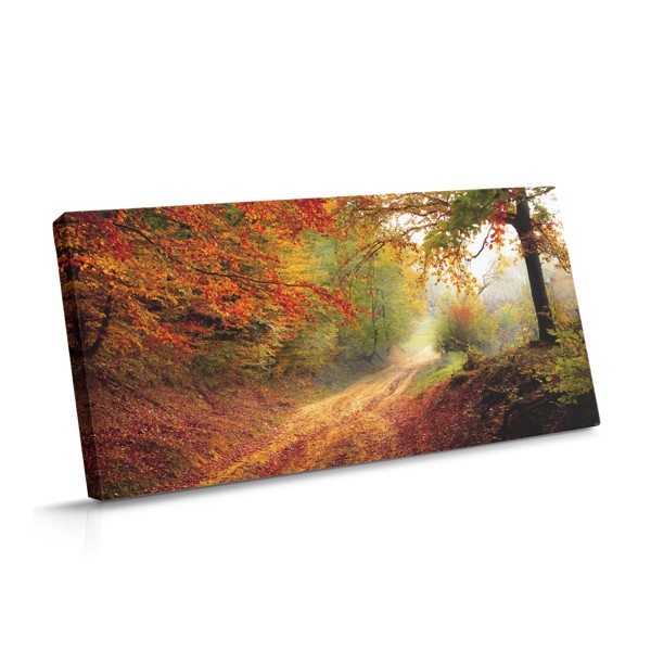 Rudens meža taka audekla prints