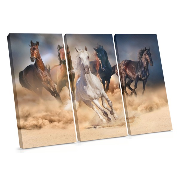 Toile Chevaux en Mouvement