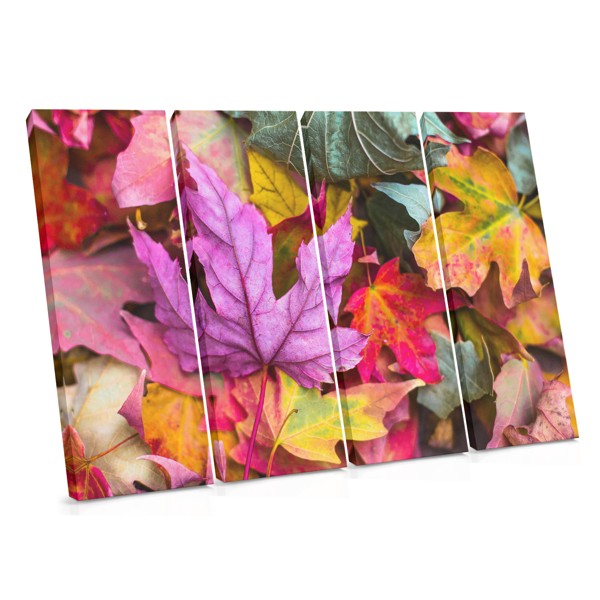 Herbstbaum in voller Farbe Leinwanddruck