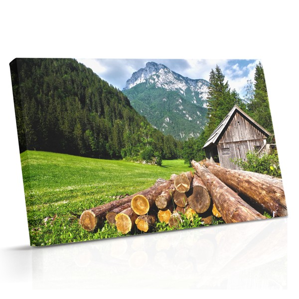 Horská krajina se stromem - Tisk na plátno