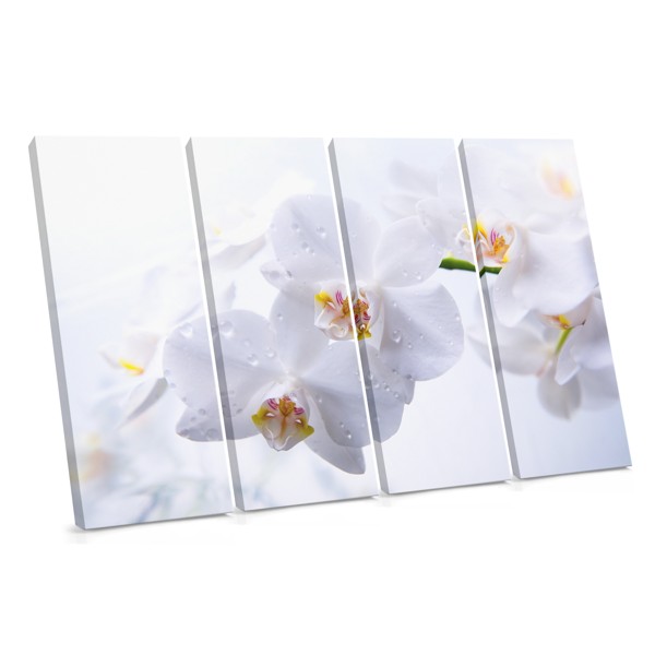 Witte Orchidee Bloem Canvas Print