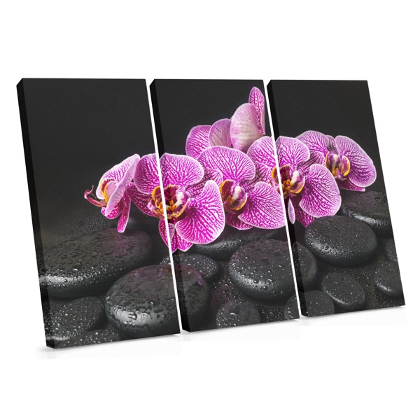 Orchidee und Spa-Steine Leinwanddruck
