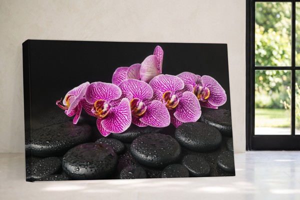 Orchidea a kúpeľné kamene - Plátno - na stene v interiéri