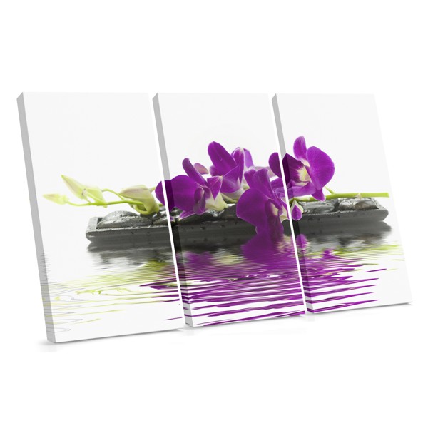 White Orchid with Bamboo Reflection Canvas Print