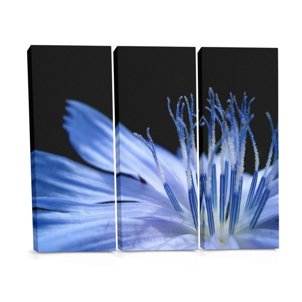 Blue Macro Flower Canvas Print