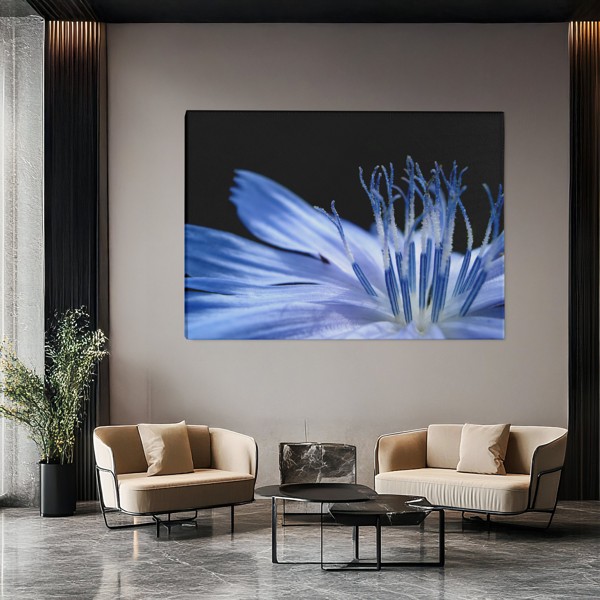 Blaue Makro-Blüte Leinwanddruck - an der Wand in einem Raum