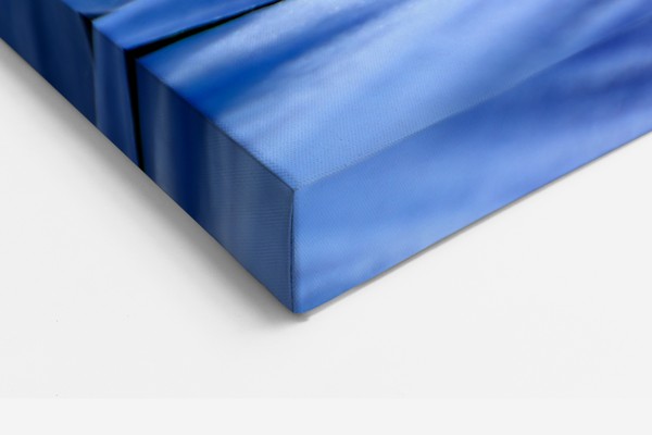 Blaue Makro-Blüte Leinwanddruck - an der Wand in einem Raum