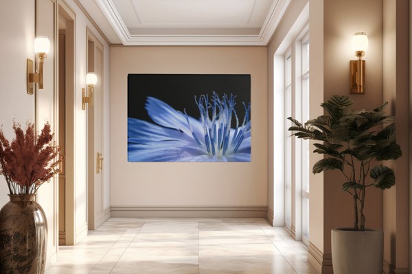 Blaue Makro-Blüte Leinwanddruck - an der Wand in einem Raum