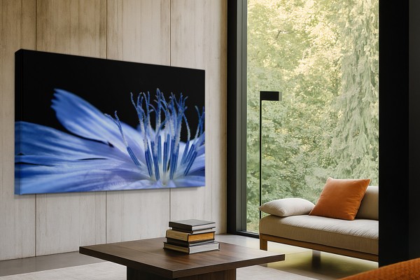 Blaue Makro-Blüte Leinwanddruck - an der Wand in einem Raum