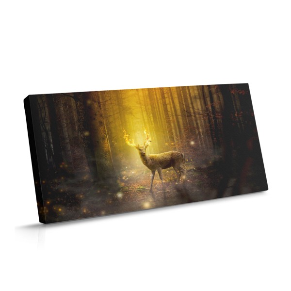 Ein Hirsch steht zwischen Bäumen in einem Wald, der von warmem goldenem Licht erhellt wird