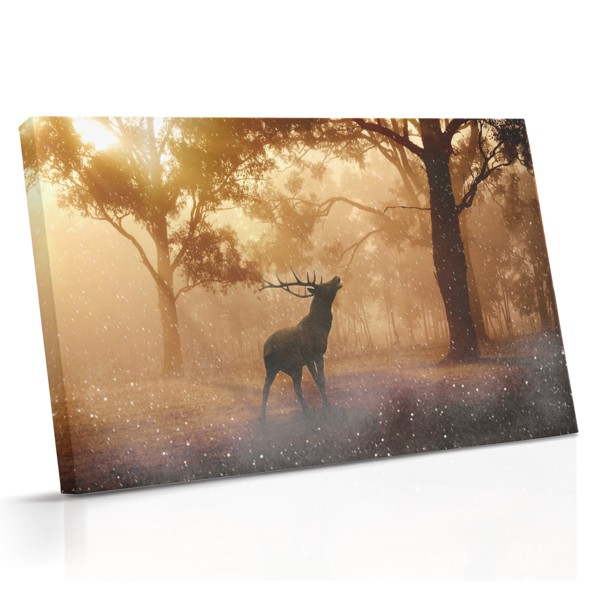 Toile Forêt d'Automne avec Cerf