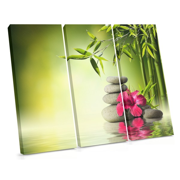 Soft Pink Flower Close-Up Canvas Print