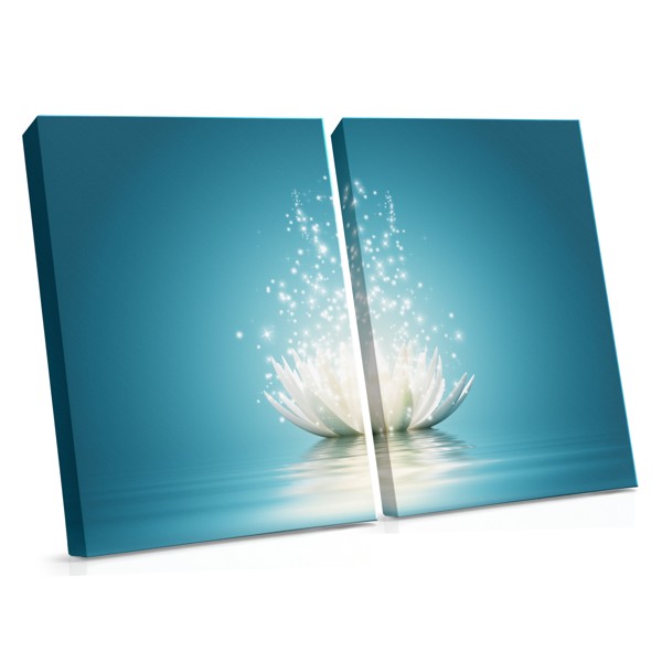 Lienzo Flor de Loto con Rastros de Luz