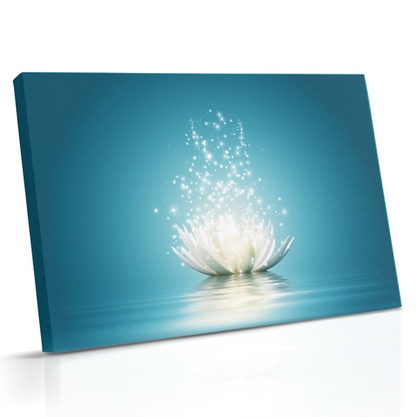 O floare de lotus stă centrată pe un fundal închis, înconjurată de urme de lumină curgătoare în roz, aur și turcoaz