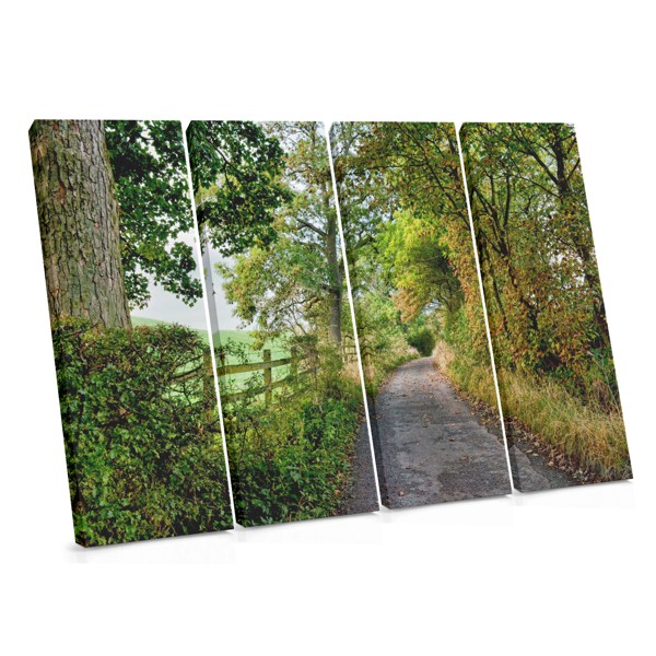 Forest Path Through Green Tunnel Canvas Print