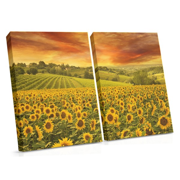 Lienzo Campo de Girasoles Dorados