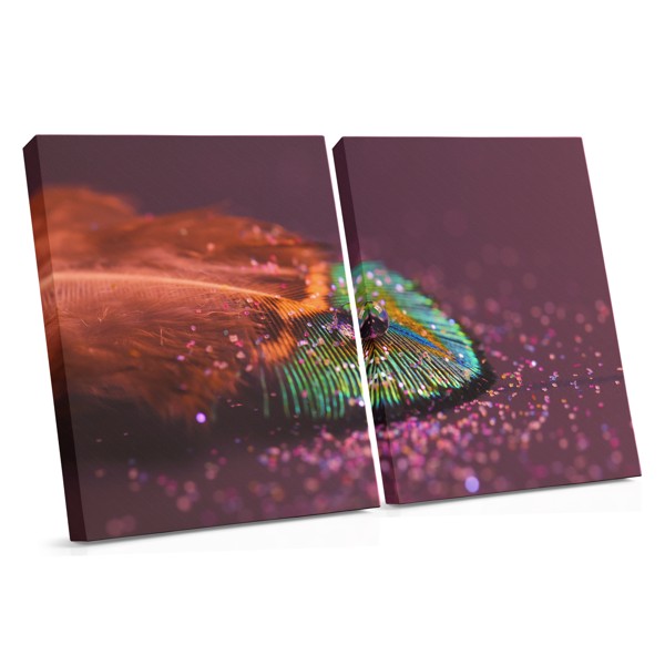 Macro Feather with Water Droplets Canvas Print