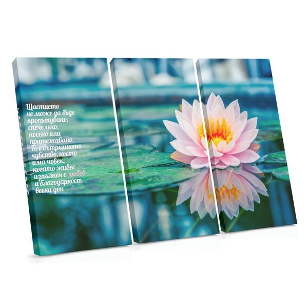 Pink Water Lily on Rippled Surface Canvas Print