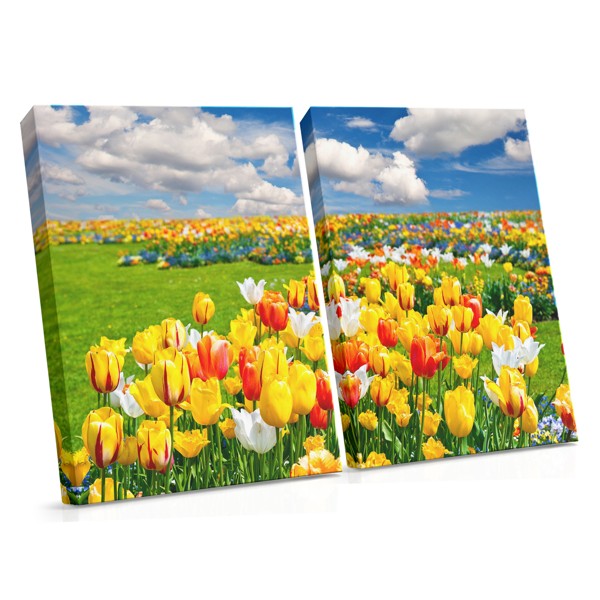 Platno Polje Tulipana - Vivid Cvjetni Pejzaž