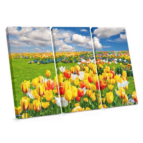 Impressão em Tela Campo de Tulipas - Paisagem Floral Vivida