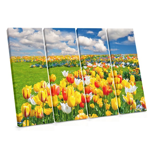 Tlačový obraz Tulipánové pole - Vivid Kvetinová krajina