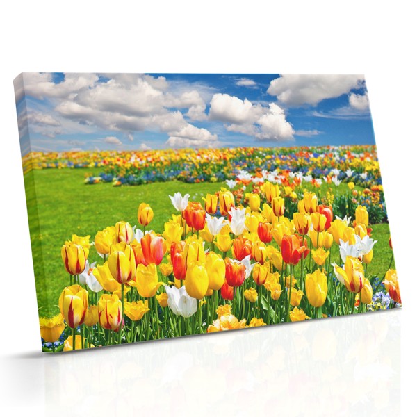 Impressão em Tela Campo de Tulipas - Paisagem Floral Vivida