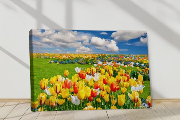 Tulip Field Canvas Print - Vivid Floral Landscape - on the wall in a room interior